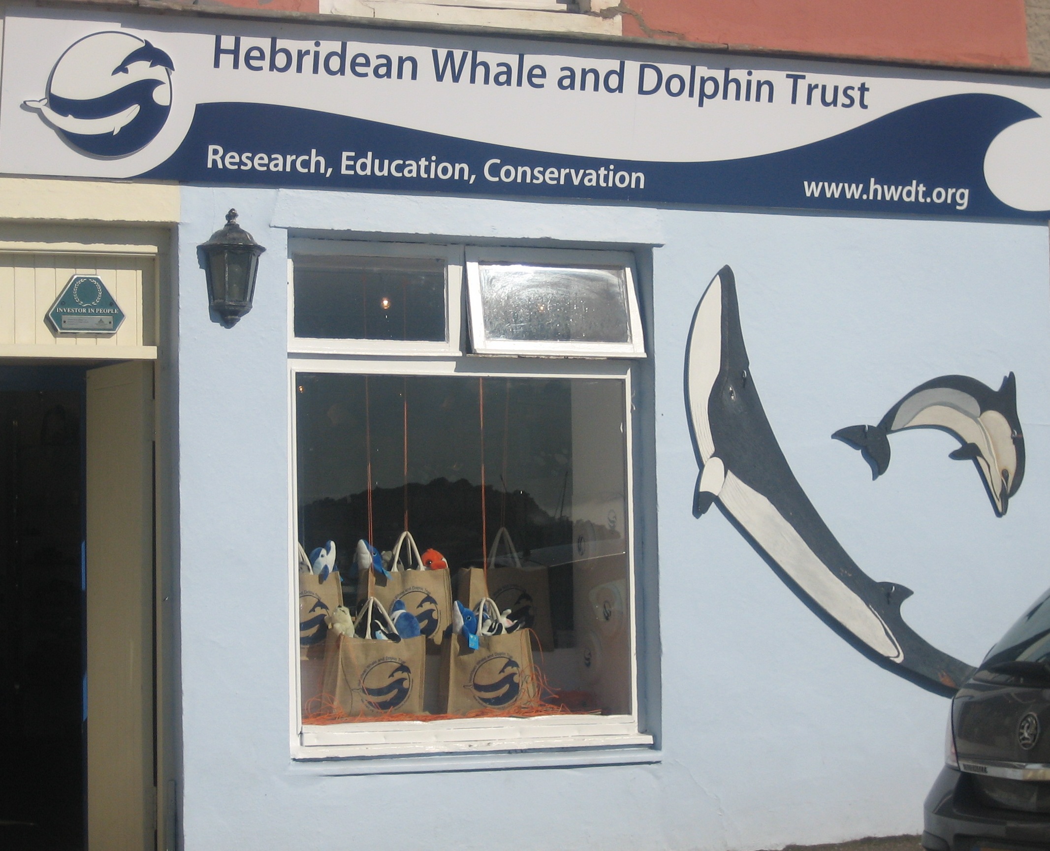 Come and visit our visitor centre in Tobermory, providing information about Hebridean cetaceans and the work of the Trust